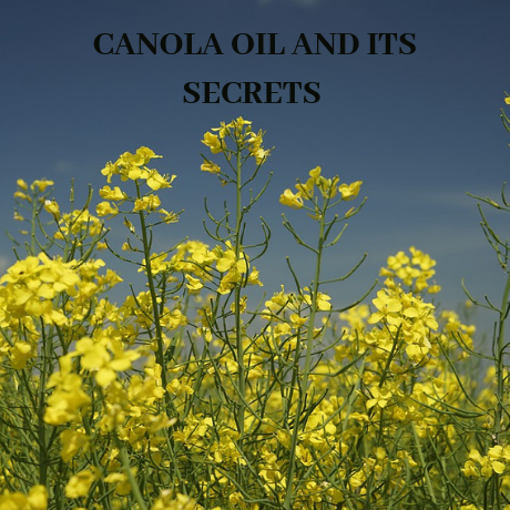 CANOLA OIL AND ITS SECRETS